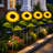 Hartshorne Solar Powered Weather Resistant Sunflower Pathway Light (Set of 4)