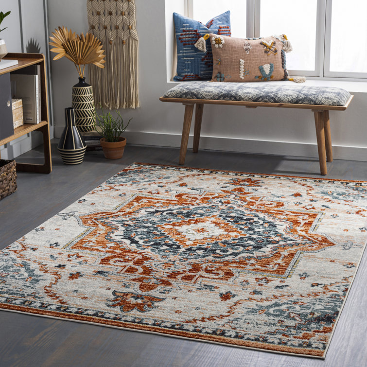 Aldusa Oriental Indoor Rug