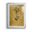 Reproduction d'art encadrée dorée Botanical II-1909931031-1909931027