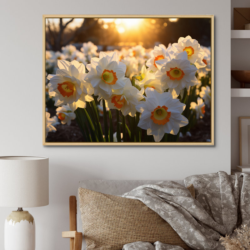 Daffodils Field Sunrise V - Art mural sur toile florale, Cadre naturel flottant, 12" H x 20" W