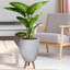 Multi-Directional Striped Egg Planter with Feet-590648293-590648292