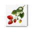 «Strawberry Study II», reproduction d'art sur toile tendue-93249946