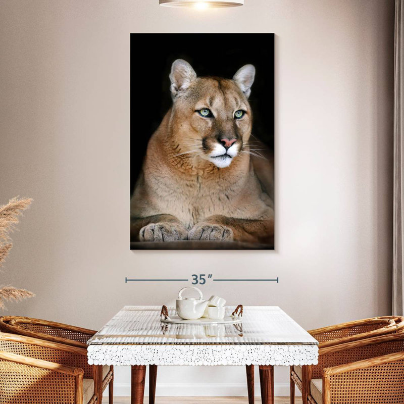 Chat sauvage majestueux Brampt, H 30 po x l 20 po