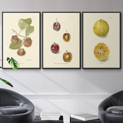 " Persimmon II " 3 - Pieces