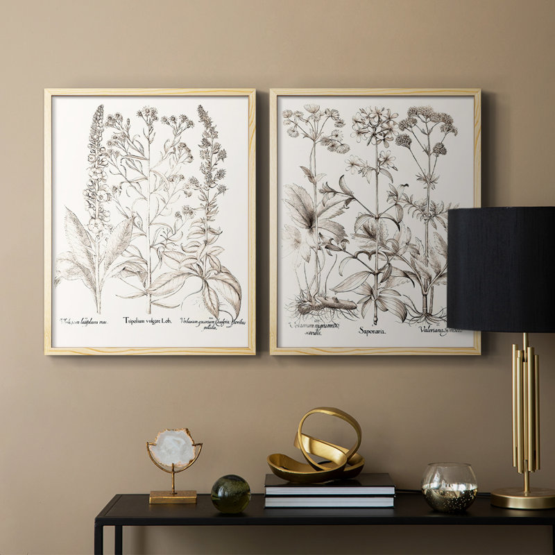 Impression sépia de qualité supérieure sépia Besler Botanicals - prêt à accrocher - aucun clou requis