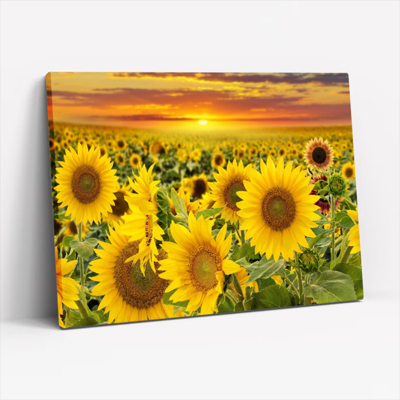 Ensemble de 1 tableau sur toile représentant un champ de tournesols, H 20 po x l 30 po, Toile tendue