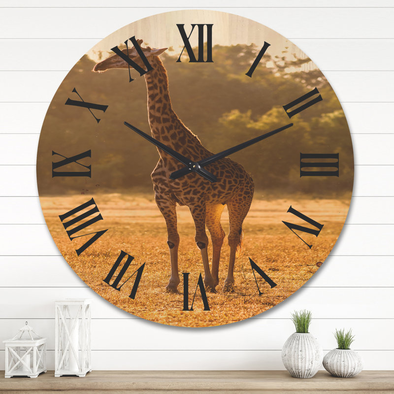 Horloge murale africaine, Très grand