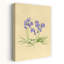 Printemps, jacinthe des bois-129772669