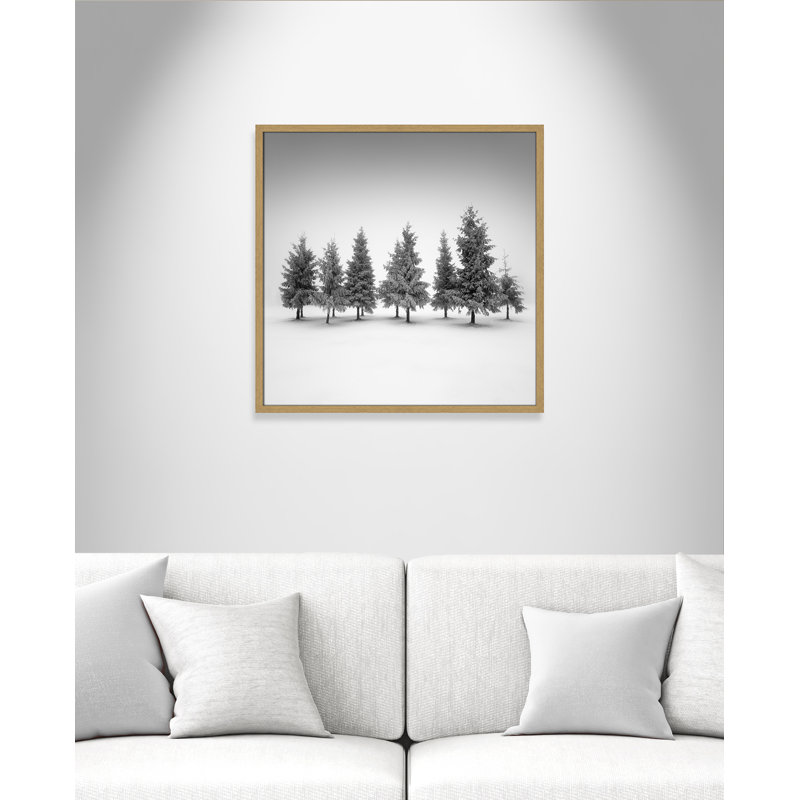 Impression d'épinette par Daniel, Grain de bois naturel, L 27,5 po x H 27,5 po, Impression encadrée
