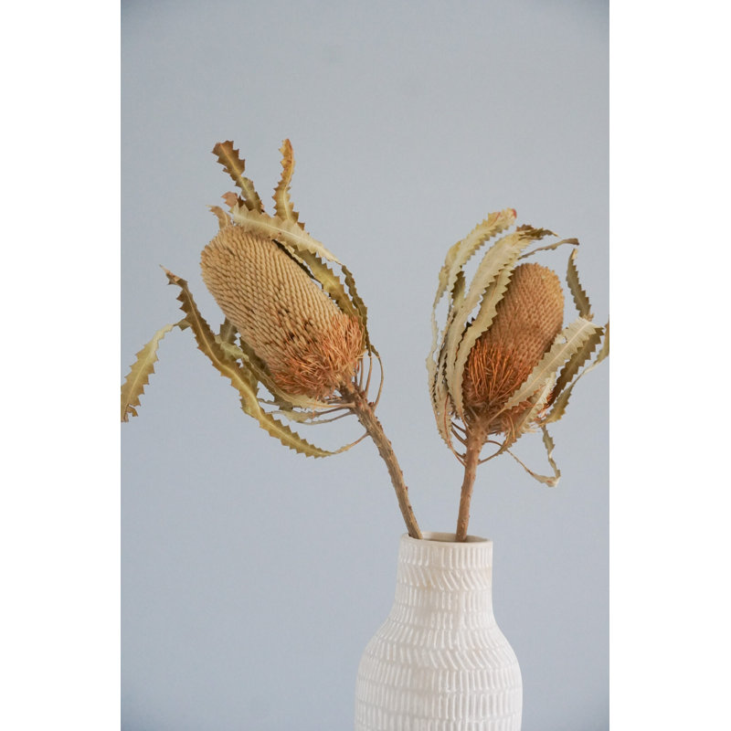 Arrangement floral Banksia