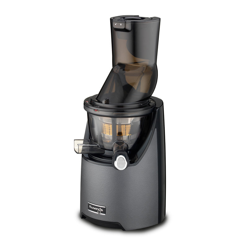 Gun Metal Slow Masticating Juicer with Leather Finish