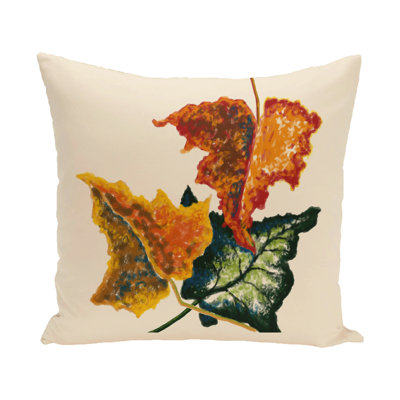  Housse de coussin carré et insert