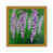 Framed Print selected