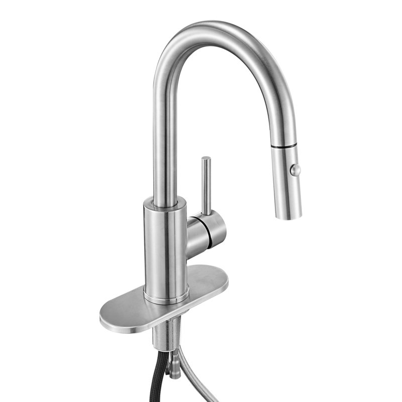 Robinet d'évier de cuisine à poignée simple en nickel brossé
