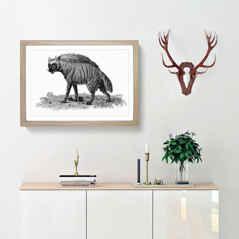 Striped Hyena in Black & White by George Shaw - Framed Print, 36cm H x 48cm W x 2cm D, Oak Framed