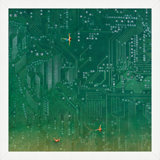 Swim Circuit 2 Print by Thom Filicia