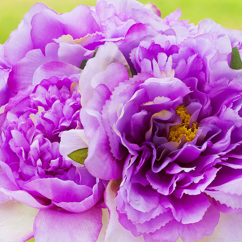 Arrangement floral pivoines et centres de table, Mauve