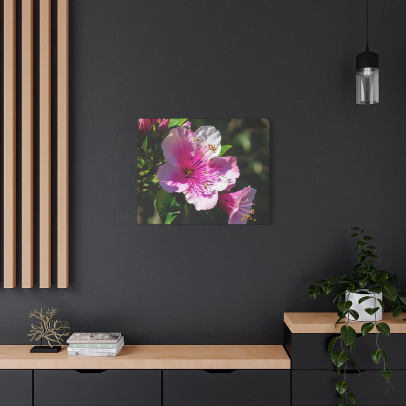 Kalmia, Street Art, reproduction d'art sur toile, H 24 po x l 30 po