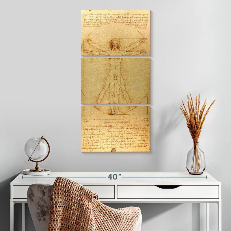 The Vitruvian Man, H 32 po x l 15 po