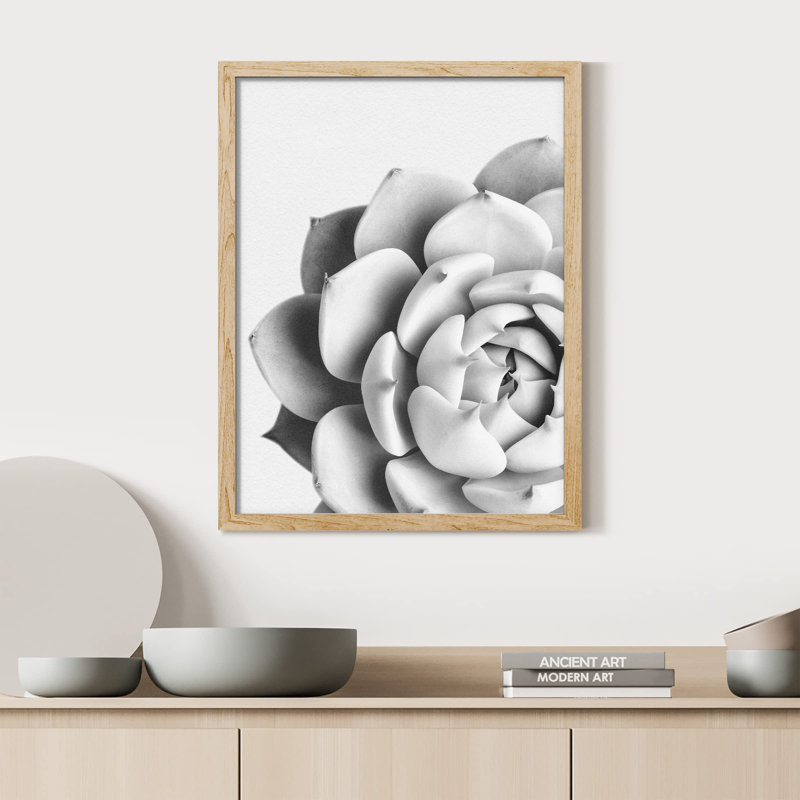 «Succulent Cactus Black and White Rosebud Gros plan» sur papier, Naturel, H 16 po x l 12 po