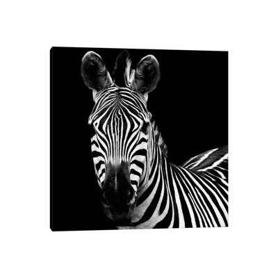 Zèbre II par Debra Van Swearingen - reproduction de photo