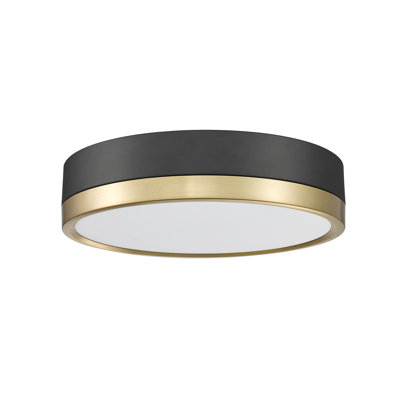 Brexleigh Acrylic LED Flush Mount