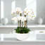 Orchid Arrangement In Vase-1278500912