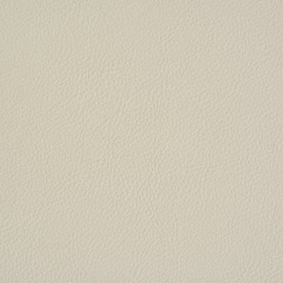 Vegan Leather Indoor/Outdoor Fabric