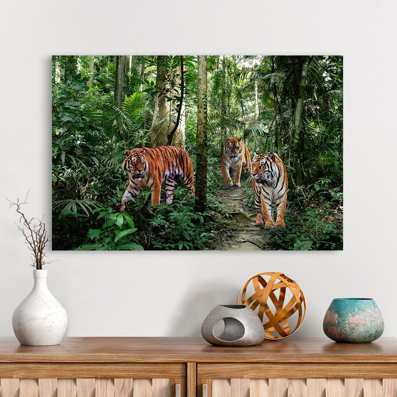 Bengal Tigers - Wrapped Canvas Print, 50cm H x 70cm W x 4cm D