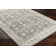 Delyse Oriental Indoor Rug