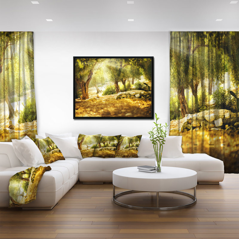 « olive trees », reproduction de photo sur toile tendue encadrée, H 12 po x l 20 po x P 1 po