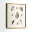 Knorr Shells & Coral IX - reproduction encadrée de qualité supérieure - prête à être accrochée - aucun clou requis - aucun clou requis-973000202-973000207