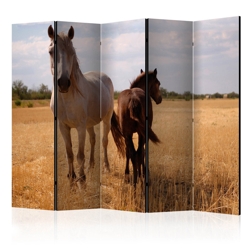 225cm W x 172cm H 5 - Panel  One Sided Room Divider Folding Room Divider