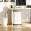 30cm Wide Mobile Steel File Cabinet-1310269226
