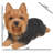 Yorkshire Terrier Dog Lying Down Statue