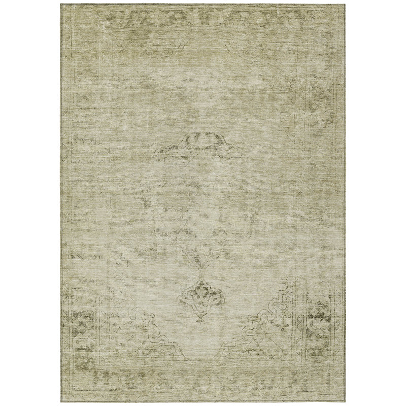 Nayelin Washable Oriental Indoor / Outdoor Rug, Rectangle 10' x 14'