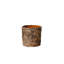 Vase de table 4,5 po Gamm