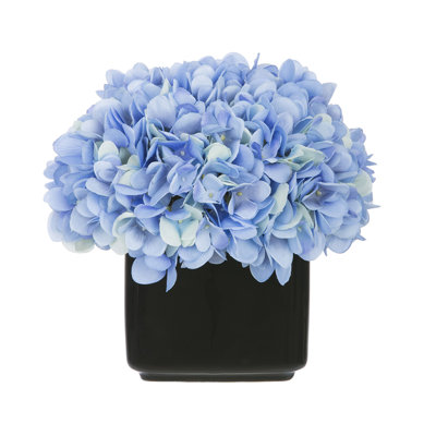 Hydrangeas Arrangement in Vase