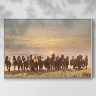 " Horse Motion I "