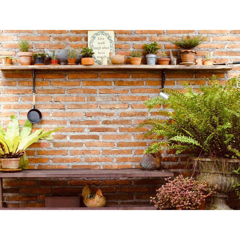 Équerres de tablette décoratives, H 8 po x l 1 po x P 8 po, Noir