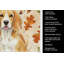 Torchon citron et blanc Beagle Heirloom-2083472409
