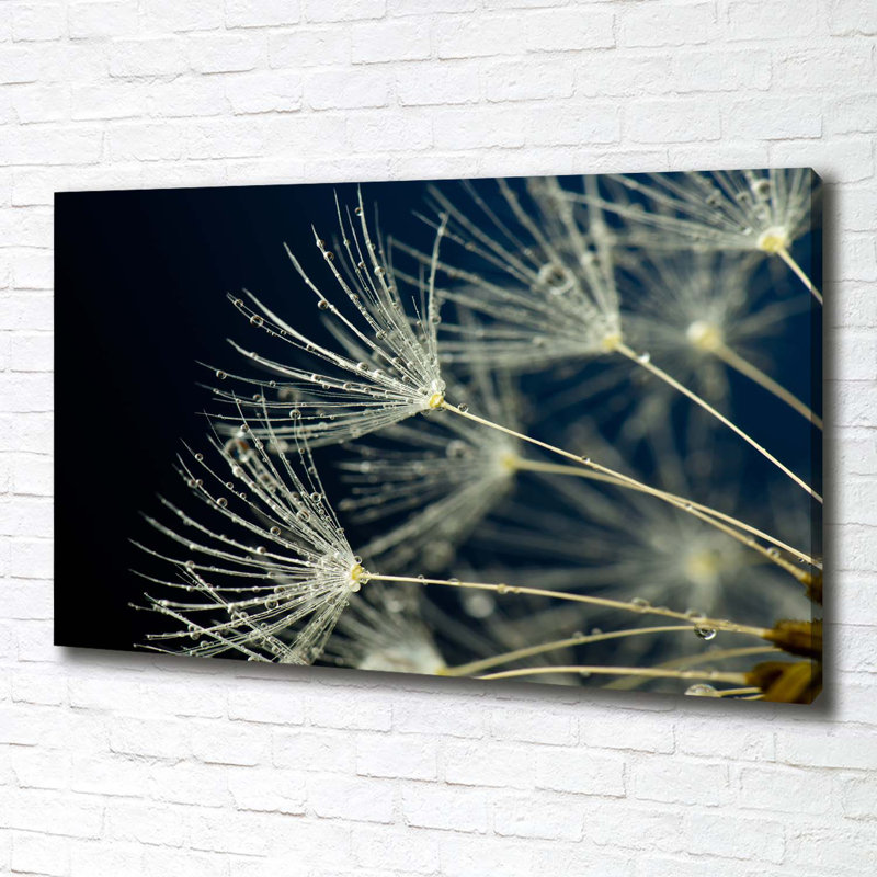 Dandelion Seeds - Wrapped Canvas Print