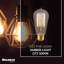 Ampoule incandescente 40 watts E26, filament nostalgique ST18, lueur ambrée chaude 2200K, 135 lumens, à intensité variable
