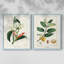Reproduction encadrée Turpin Tropical Botanicals IX-Premium - prête à être accrochée-1325991411-1325991408