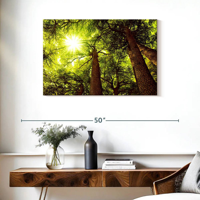 Forêt de cèdres Harnek ensoleillée, H 24 po x l 36 po