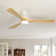 Karlena 52'' Ceiling Fan with Light Kit and Remote Control