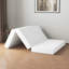 10cm & 15cm Medium Firm Foam Futon Mattress, Infused Memory Foam Mattress with Protective Cover-1128529646-1128529644