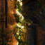 Guirlande lumineuse fée multicolore Carsdale-880099903-880108578