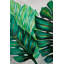 Three Big Exotic Plant Leaves - reproduction botanique encadrée-1223480408-1223480415