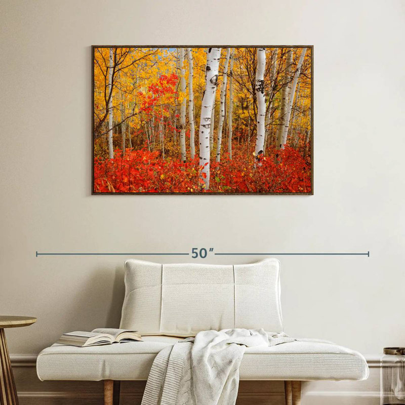 Bouleaux d'automne, Cadre flottant noyer, 40 po x 27 po
